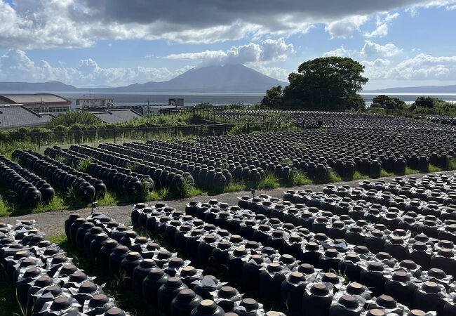 坂元のくろず 壺畑 情報館