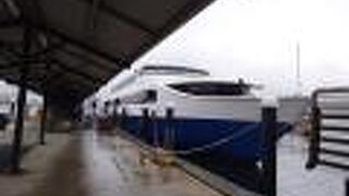 スワン川クルーズ