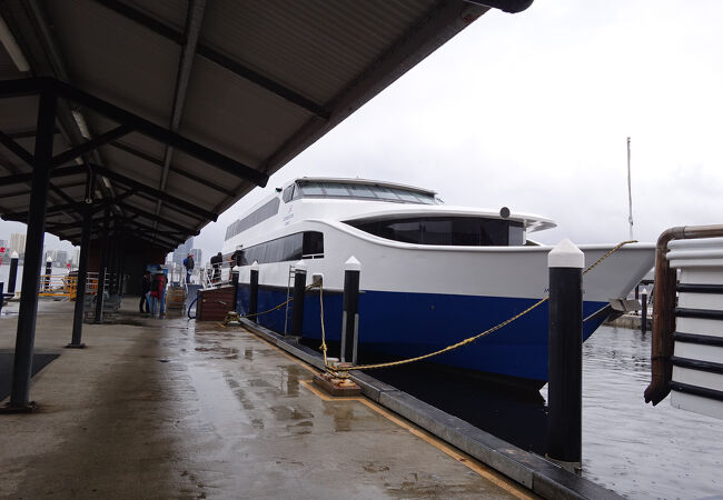 スワン川クルーズ