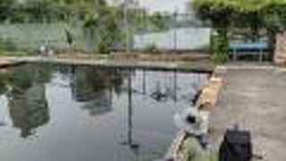 市ヶ谷フィッシュセンター