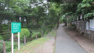 真夏の盛岡城跡公園(岩手公園)