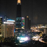 客室からの眺め