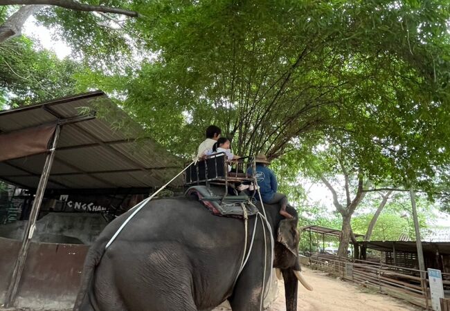 パタヤ エレファント ビレッジ