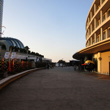 福岡PayPayドーム