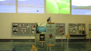 阿寒湖畔ビジターセンター