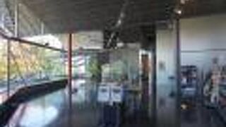 八代市立博物館未来の森ミュージアム