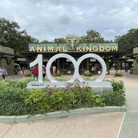 ディズニーズ アニマル キングダム テーマパーク