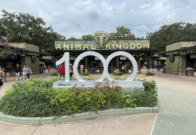ディズニーズ アニマル キングダム テーマパーク