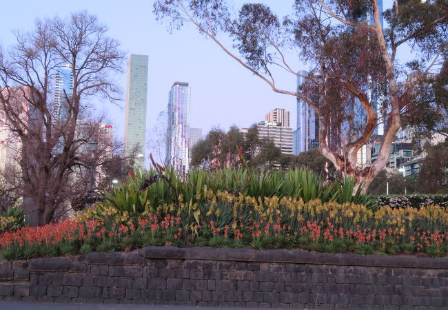 フラッグスタッフ ガーデンズ