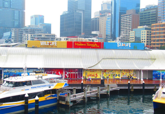 ワイルドライフ シドニー動物園
