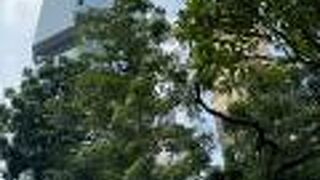 リッポーセンター