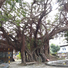 花蓮鉄道文化園区