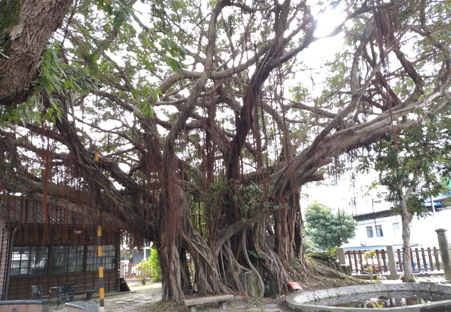 癒やしポイント