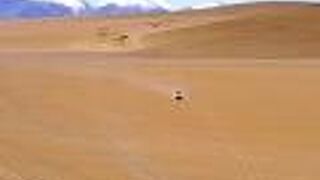 desierto de siloli