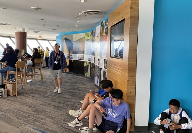 市内一望！バンクーバーの展望台