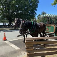 スタンレー パーク 馬車ツアー