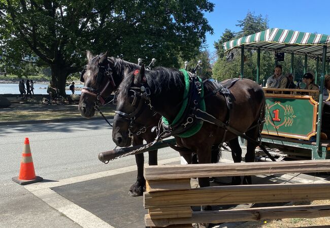 馬車でのんびり公園を半周ツアー