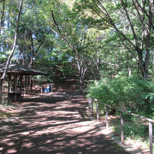 赤羽自然観察公園