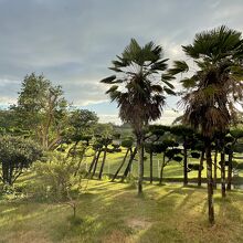 客室からの眺望