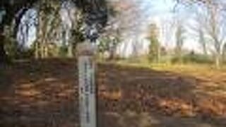 国指定史跡「比企城館跡群 松山城跡」