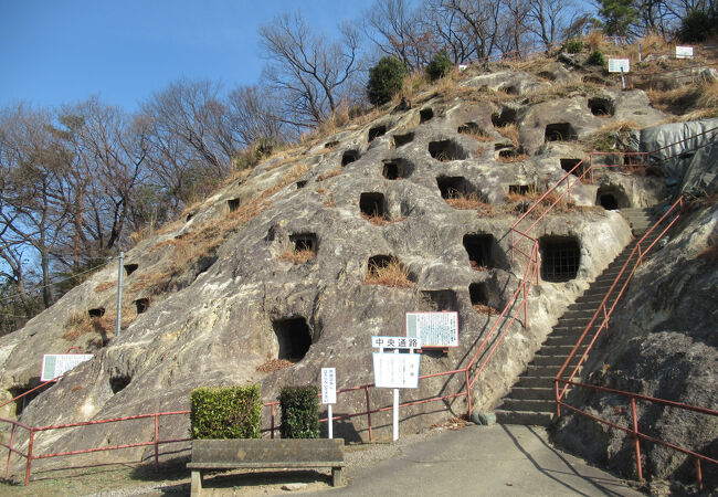 横穴墓が斜面に並んでいます