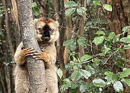 ヴァクナ私設保護区