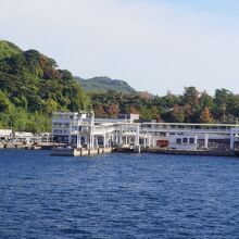 桜島港フェリーターミナル