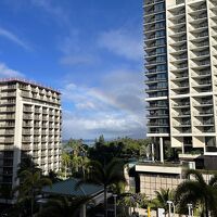 朝も虹が見えました。