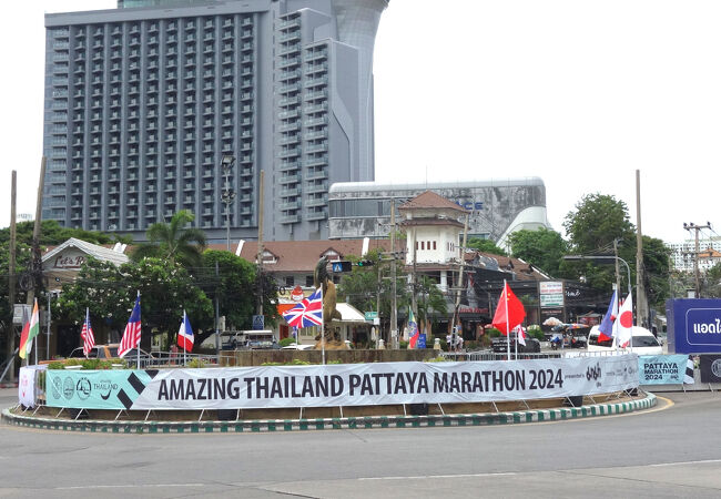 ドルフィン サークル