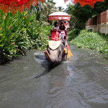 水の中に入ります　結構ゆれます　後方撮影