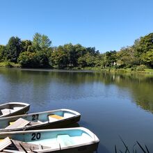 中島公園