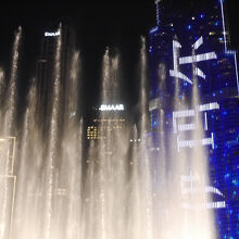 １回目は五感で楽しんで、２回目は動画や写真を撮った