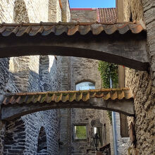 聖カタリーナ通り