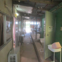 月桃ムーンピーチ 写真