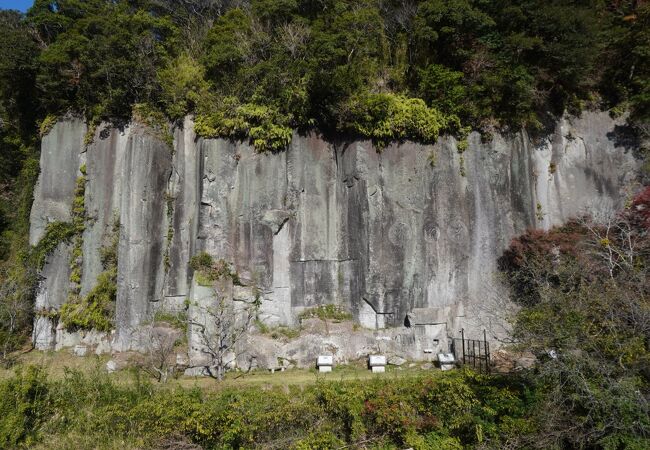 秘境の岩清水 秘境の名水「幻の岩清水」をご存知ですか？ | 水とみどりの森の