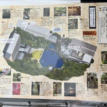 お庭があります。