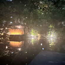 夜はこんな感じ。