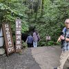 涼しいスポットと聞きましたが。