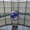 大人も楽しめる体験型科学館