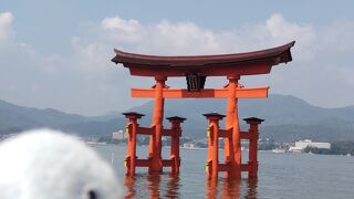 たくさんの方々が参拝