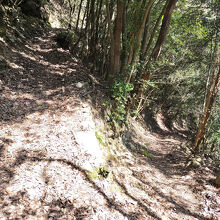 つづら折りの坂道