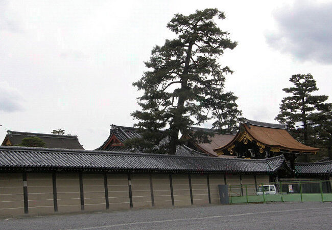 ヤマガラが見られました。