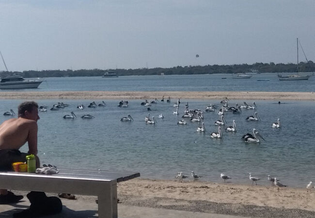 チャリス シーフード