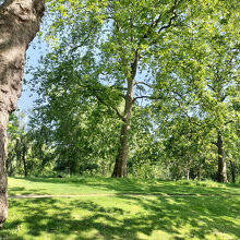 セント ジェームズ パーク