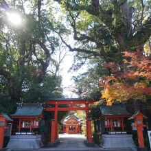 枚聞神社