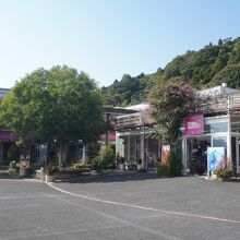 池田湖パラダイス