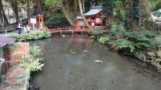 唐船峡京田湧水