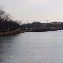 乙戸沼公園の風景