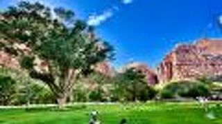 ザイオン ロッジ - インサイド ザ パーク