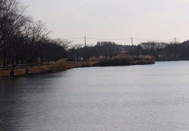 乙戸沼公園